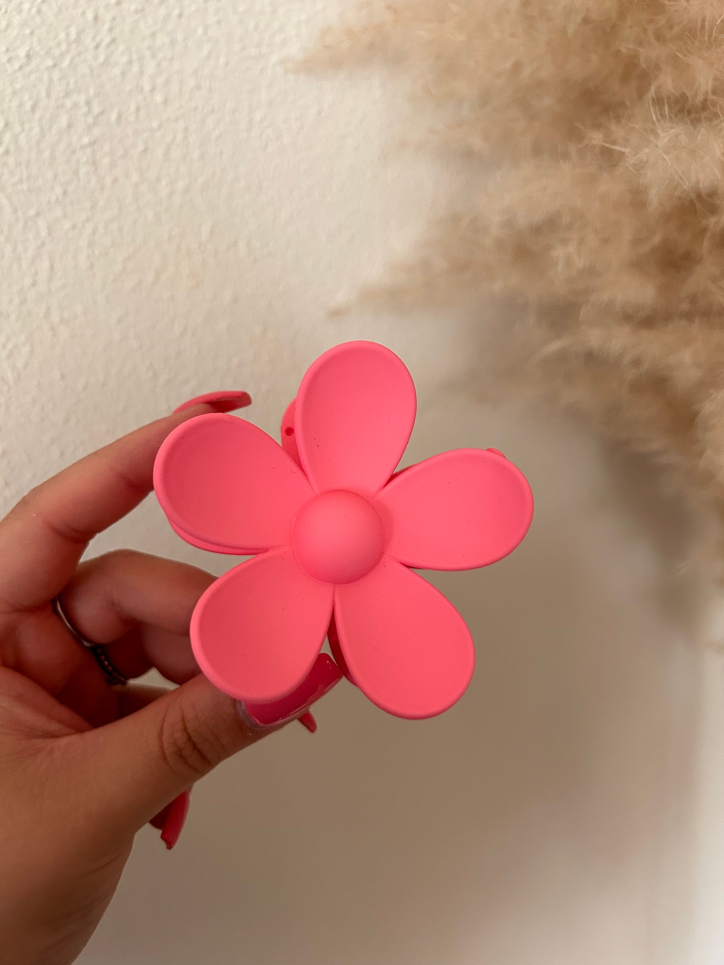 Haarklem Bloem | FUCHSIA