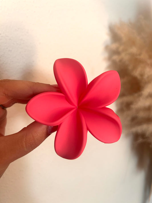 Haarklem Bali | FUCHSIA